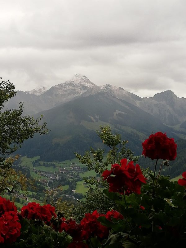 berg